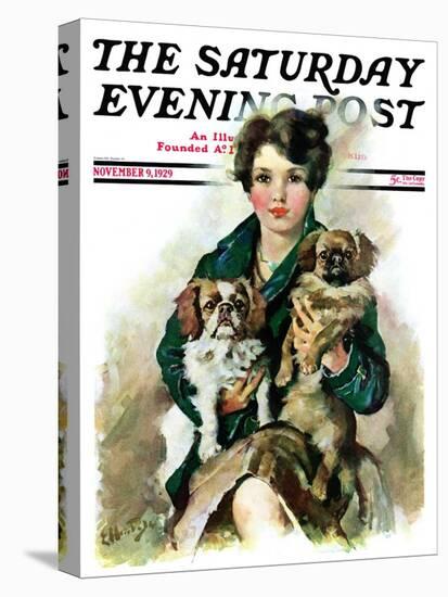 "Pugs in Lap," Saturday Evening Post Cover, November 9, 1929-Ellen Pyle-Stretched Canvas