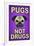 Pugs Not Drugs Humor-null-Framed Art Print