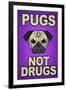 Pugs Not Drugs Humor-null-Framed Art Print