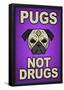 Pugs Not Drugs-null-Framed Poster