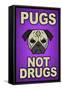 Pugs Not Drugs-null-Framed Stretched Canvas