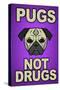 Pugs Not Drugs-null-Stretched Canvas