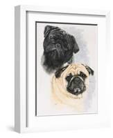 Pugs-Barbara Keith-Framed Giclee Print