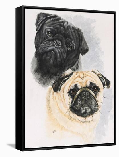 Pugs-Barbara Keith-Framed Stretched Canvas