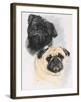 Pugs-Barbara Keith-Framed Giclee Print