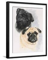 Pugs-Barbara Keith-Framed Giclee Print