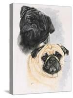 Pugs-Barbara Keith-Stretched Canvas