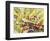 Pui's Fish-Mary Russel-Framed Giclee Print