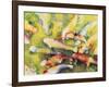 Pui's Fish-Mary Russel-Framed Giclee Print