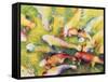Pui's Fish-Mary Russel-Framed Stretched Canvas