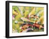 Pui's Fish-Mary Russel-Framed Giclee Print