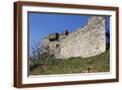 Brown Frame
