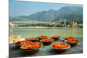Puja Flowers Offering for the Ganges River in Rishikesh, India-mazzzur-Mounted Photographic Print