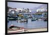 Pukusana (Pucusana) fishing village, Peru, South America-Peter Groenendijk-Framed Photographic Print