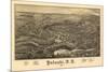 Pulaski, New York - Panoramic Map-Lantern Press-Mounted Art Print