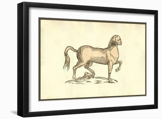 Pullus Equinus Humana Facie-Ulisse Aldrovandi-Framed Art Print