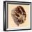 Pulmonary Clot, Illustration, 1844-Science Source-Framed Giclee Print