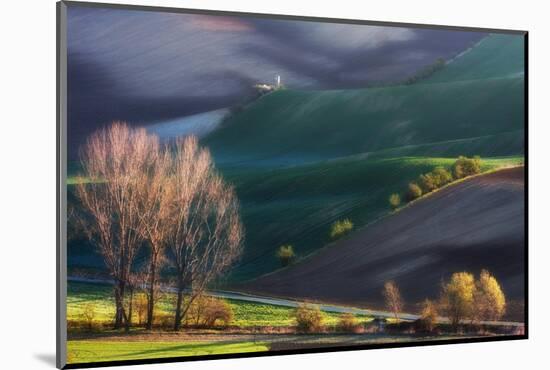 Pulpit on Carpet-Marcin Sobas-Mounted Photographic Print