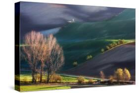 Pulpit on Carpet-Marcin Sobas-Stretched Canvas