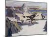 Pulpit Rock, Iona-Francis Campbell Boileau Cadell-Mounted Giclee Print