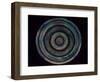 Pulse Mandala-Nicky Kumar-Framed Giclee Print