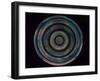 Pulse Mandala-Nicky Kumar-Framed Giclee Print