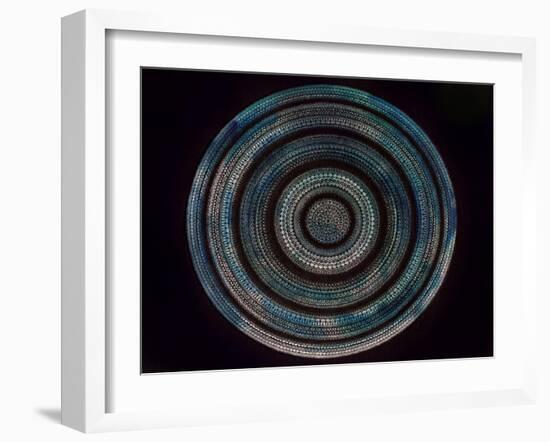 Pulse Mandala-Nicky Kumar-Framed Giclee Print