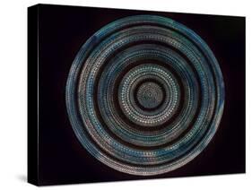 Pulse Mandala-Nicky Kumar-Stretched Canvas