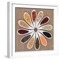 Pulses Vegetable Selection of Peas, Beans and Lentils in White Porcelain Bowls-marilyna-Framed Photographic Print