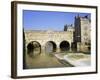 Pulteney Bridge and Weir on the River Avon, Bath, Avon, England, UK-Roy Rainford-Framed Photographic Print