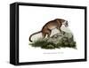 Puma, 1860-null-Framed Stretched Canvas