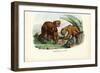 Puma, 1863-79-Raimundo Petraroja-Framed Giclee Print