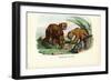 Puma, 1863-79-Raimundo Petraroja-Framed Giclee Print