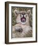 Puma, Chile-Art Wolfe Wolfe-Framed Premium Photographic Print