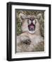 Puma, Chile-Art Wolfe Wolfe-Framed Premium Photographic Print