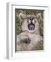 Puma, Chile-Art Wolfe Wolfe-Framed Premium Photographic Print