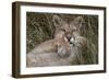 Puma, Chile-Art Wolfe Wolfe-Framed Photographic Print