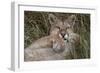 Puma, Chile-Art Wolfe Wolfe-Framed Photographic Print