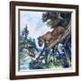 Puma on the Prowl, 1963-G. W Backhouse-Framed Giclee Print