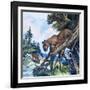 Puma on the Prowl, 1963-G. W Backhouse-Framed Giclee Print