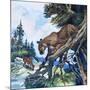 Puma on the Prowl, 1963-G. W Backhouse-Mounted Giclee Print