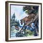 Puma on the Prowl, 1963-G. W Backhouse-Framed Giclee Print