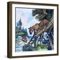 Puma on the Prowl, 1963-G. W Backhouse-Framed Giclee Print