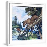 Puma on the Prowl, 1963-G. W Backhouse-Framed Giclee Print