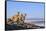 Puma with two cubs sitting on on rocky outcrop, Patagonia, Chile-Nick Garbutt-Framed Stretched Canvas