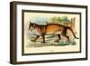 Puma-Sir William Jardine-Framed Art Print