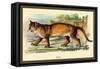 Puma-Sir William Jardine-Framed Stretched Canvas