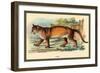 Puma-Sir William Jardine-Framed Premium Giclee Print