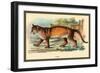 Puma-Sir William Jardine-Framed Premium Giclee Print