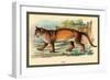 Puma-Sir William Jardine-Framed Premium Giclee Print